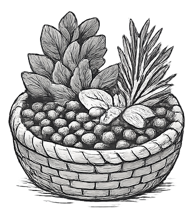Food & Medicines
